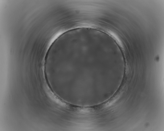 X0000091930899200709051459