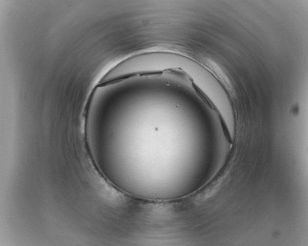 X0000091930900200709051459