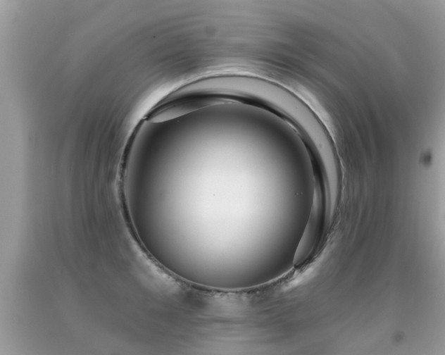 X0000091930901200709051459
