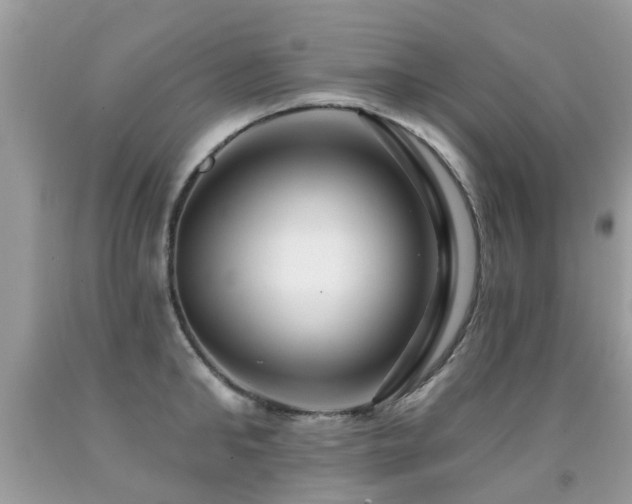X0000091930902200709051459