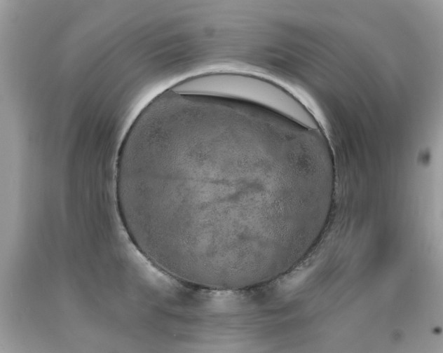 X0000091930903200709051459