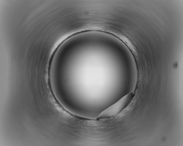 X0000091930904200709051459
