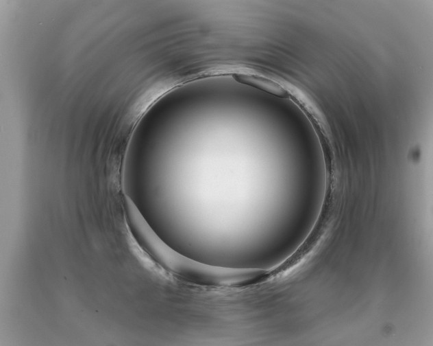 X0000091930905200709051459