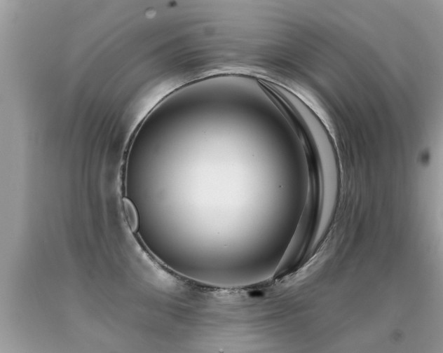 X0000091930906200709051459