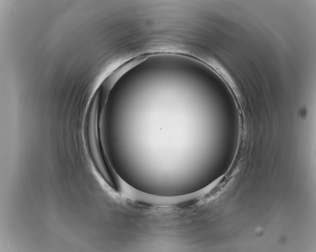 X0000091930909200709051459