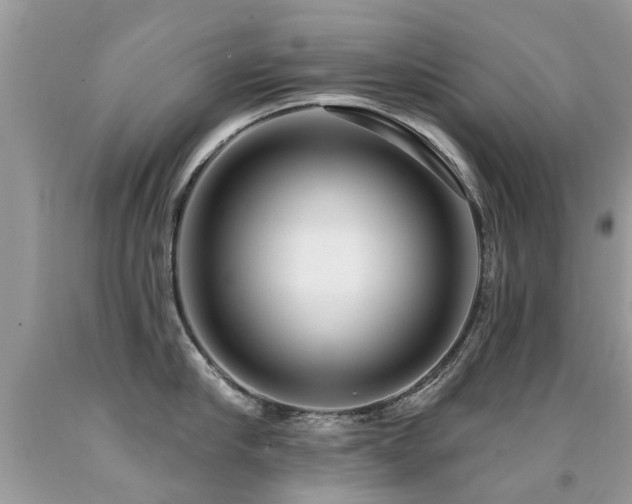 X0000091930910200709051459