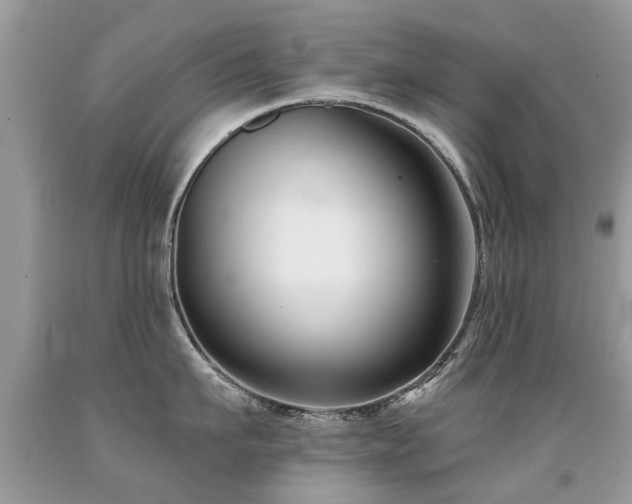X0000091930911200709051459