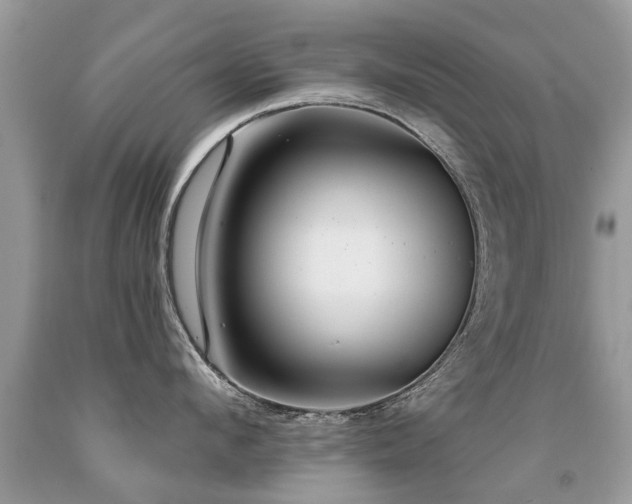 X0000091930912200709051459