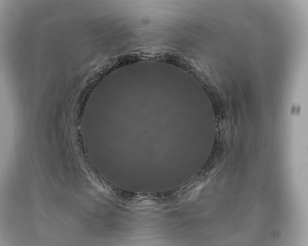X0000091930913200709051458