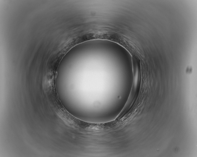 X0000091930914200709051458