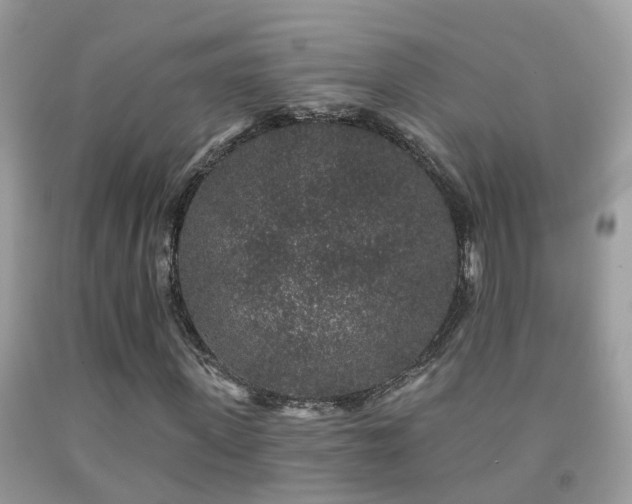 X0000091930915200709051458