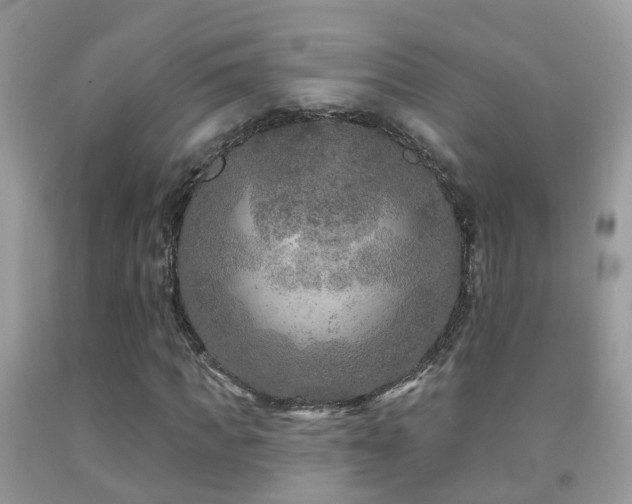 X0000091930917200709051458