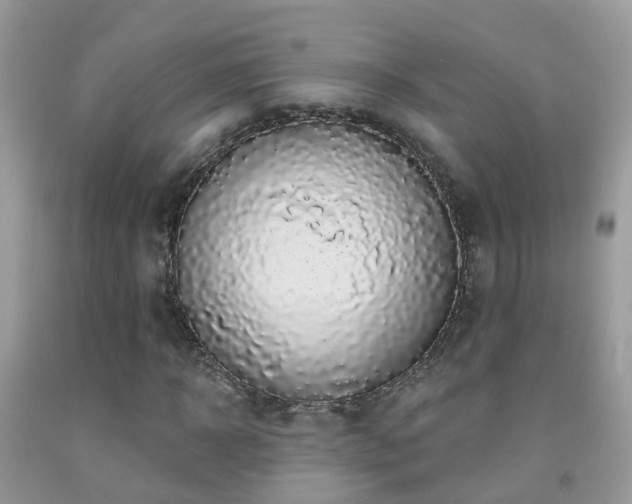 X0000091930918200709051458