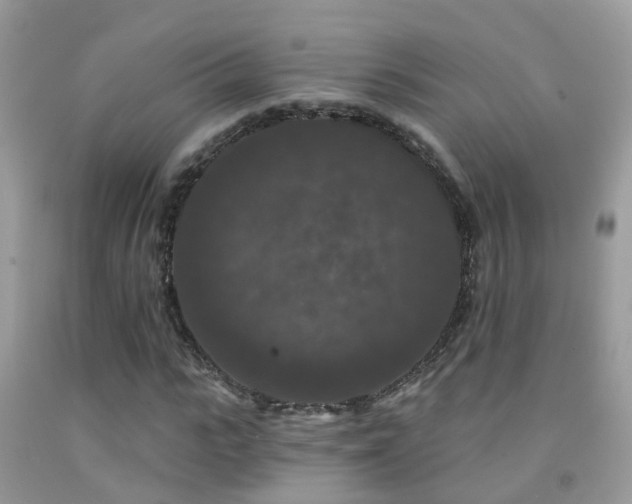 X0000091930919200709051458