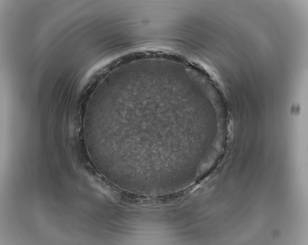 X0000091930920200709051458