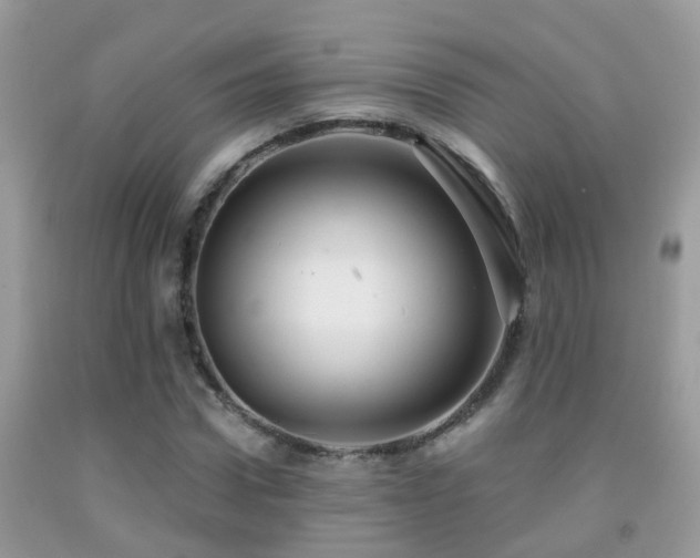 X0000091930922200709051458