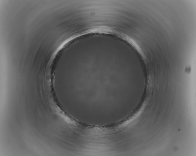 X0000091930923200709051458