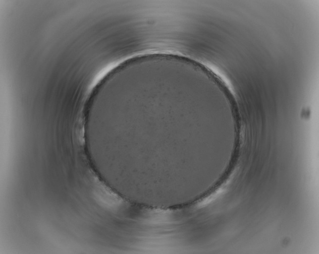 X0000091930925200709051458