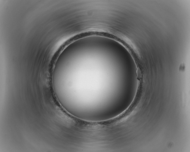 X0000091930926200709051458