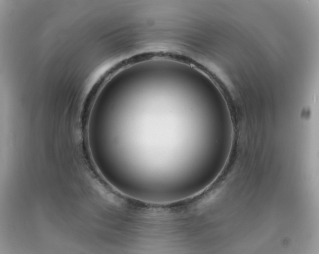 X0000091930927200709051458