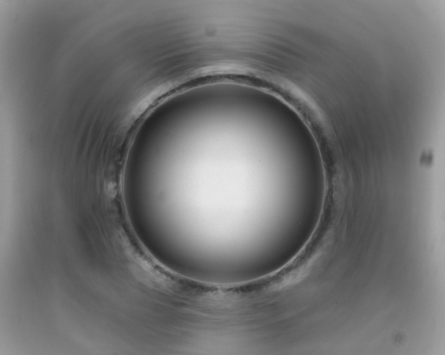 X0000091930929200709051458