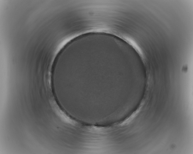 X0000091930932200709051458