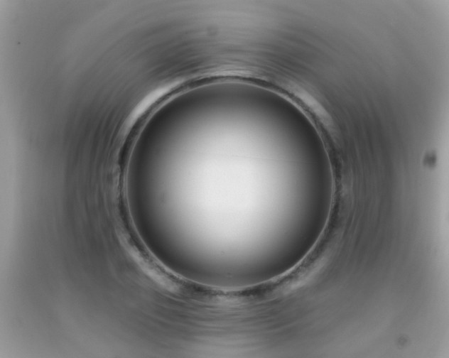 X0000091930933200709051458