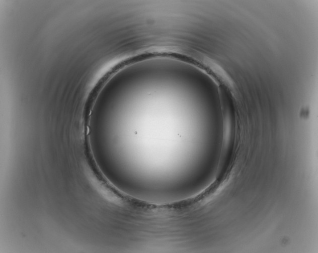 X0000091930934200709051458