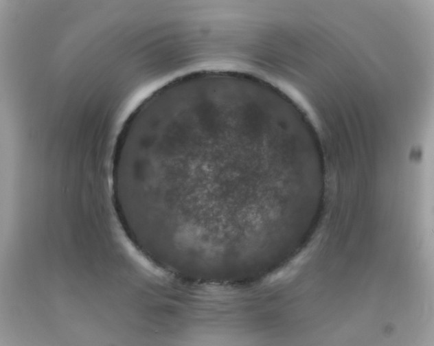 X0000091930935200709051458