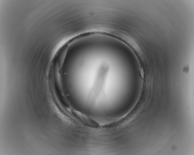 X0000091930936200709051458