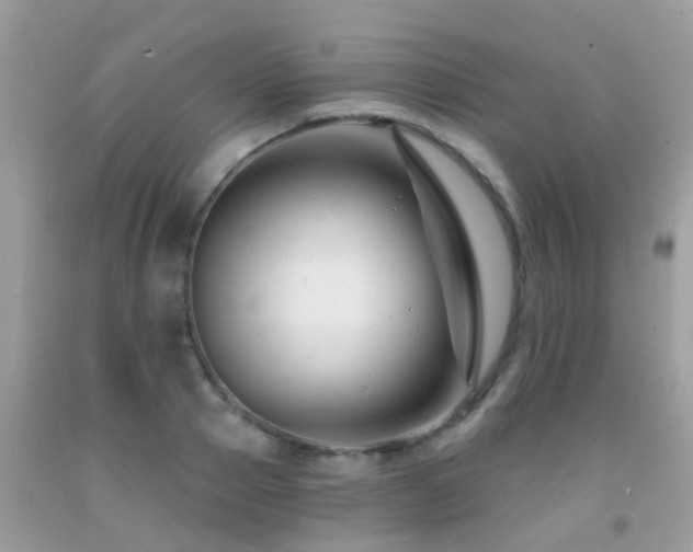 X0000091930937200709051458