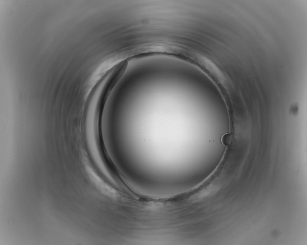 X0000091930938200709051458