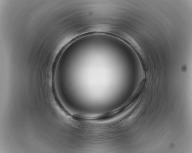 X0000091930939200709051458