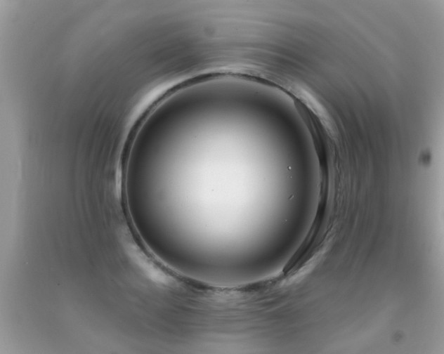 X0000091930940200709051458