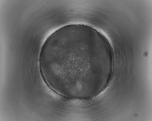 X0000091930943200709051458