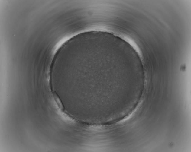 X0000091930944200709051458