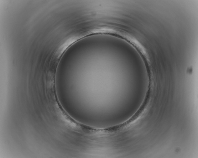 X0000091930945200709051458