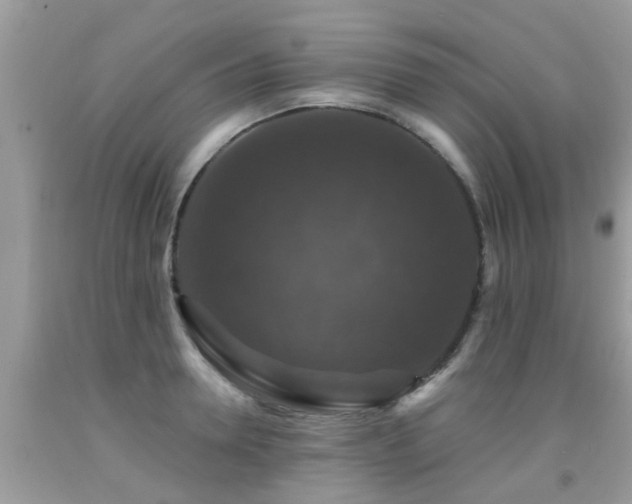 X0000091930946200709051458