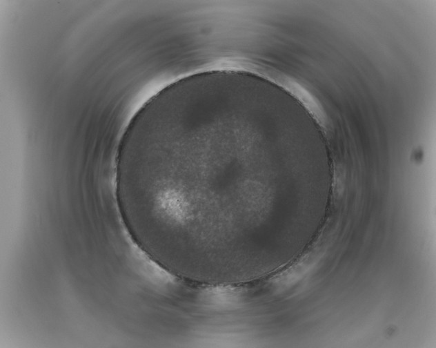 X0000091930950200709051458