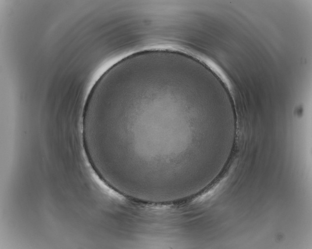 X0000091930951200709051459