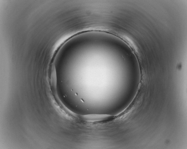 X0000091930952200709051459