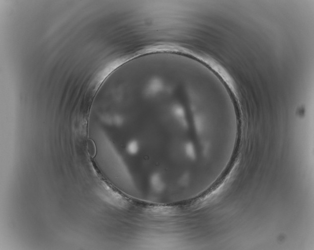 X0000091930953200709051459