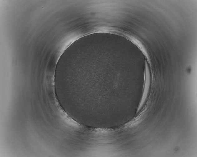 X0000091930954200709051459