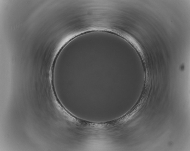 X0000091930958200709051459