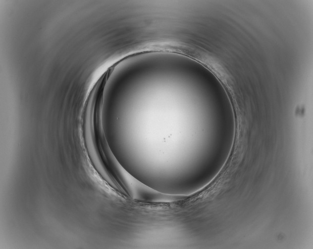 X0000091930960200709051459
