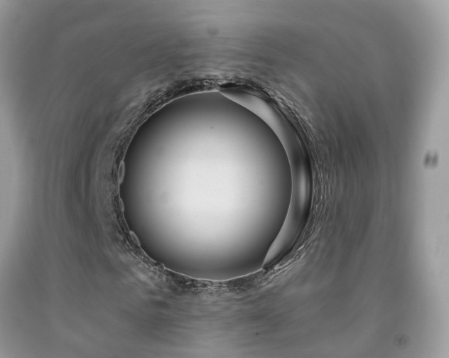 X0000091930961200709051458