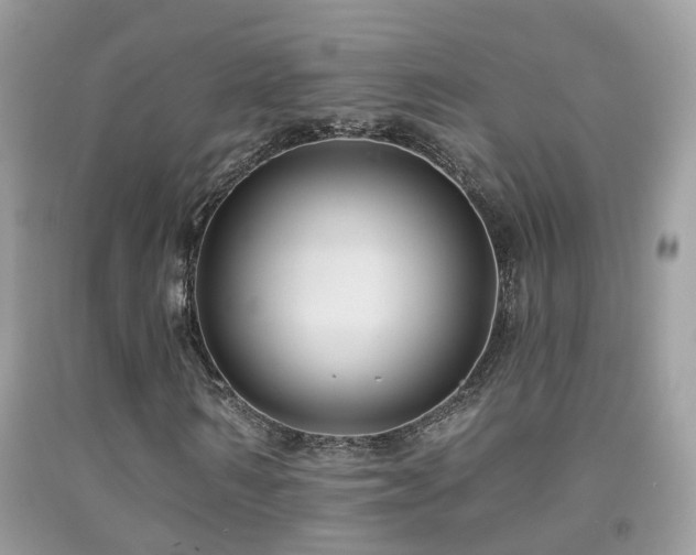 X0000091930962200709051458
