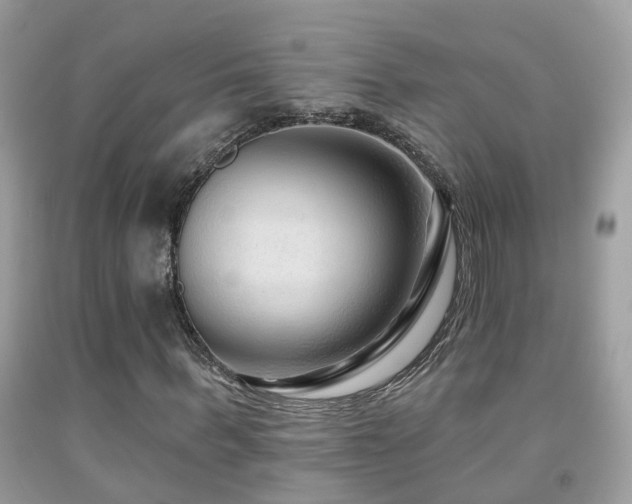 X0000091930963200709051458