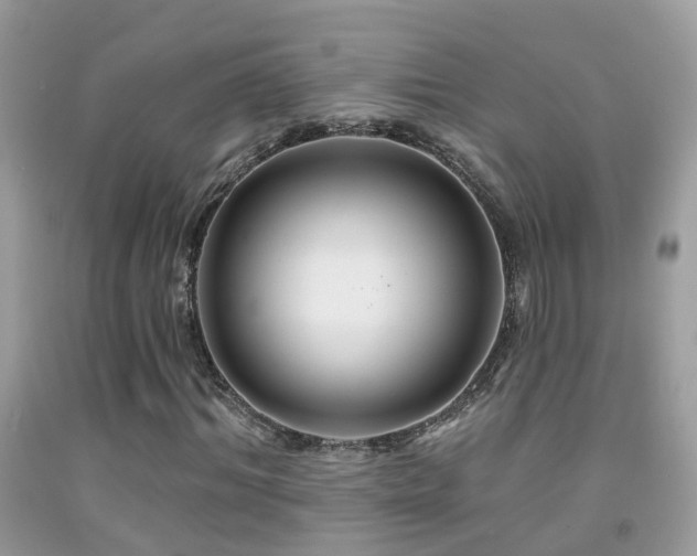 X0000091930964200709051458
