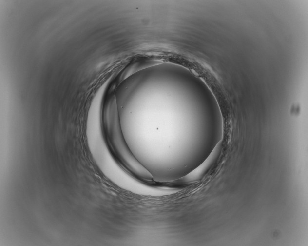 X0000091930965200709051458